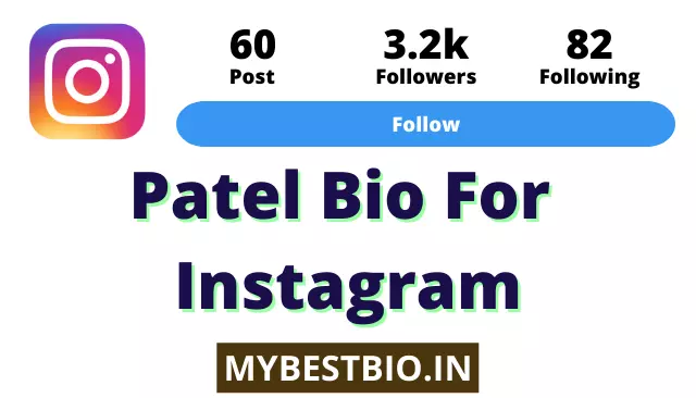 Best Instagram Bio For Patel Boys