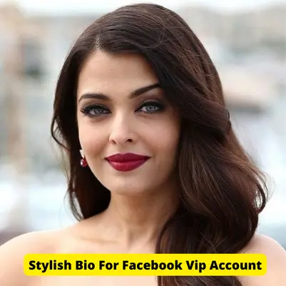 Stylish Bio For Facebook Vip Account