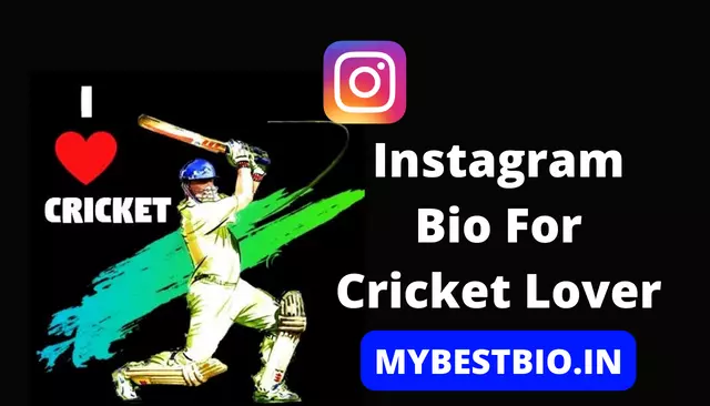 Cricket Lover Bio For Instagram