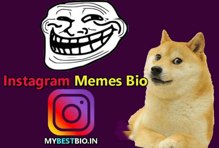 jokes bio for instagram, humor bio for instagram, memes bio for instagram, Funny & Hilarious Meme Page Bio Ideas