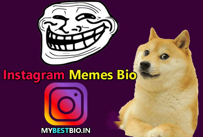 Instagram Memes Bio