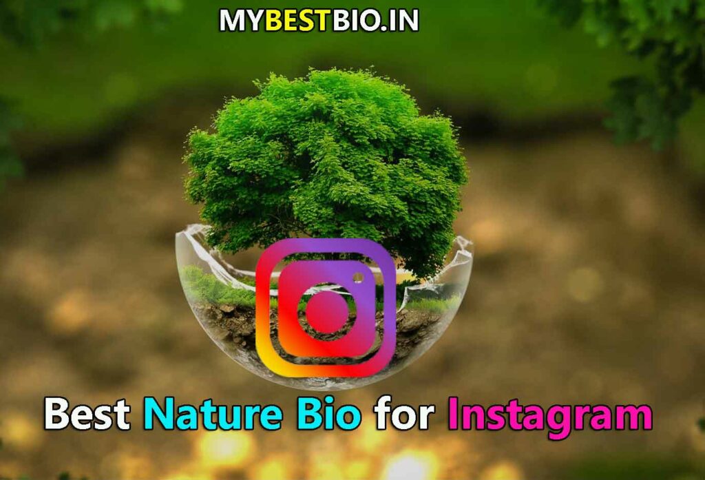 Best Nature Bio for Instagram